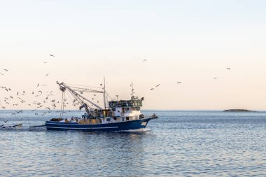 Hırvatistan güneşli bir denizde balıkçı teknesi