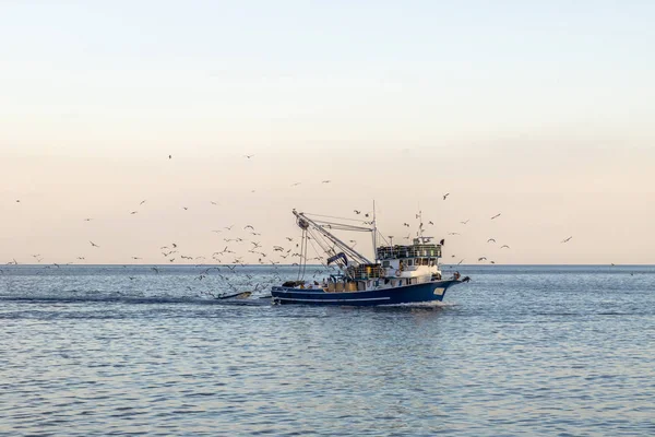 Hırvatistan güneşli bir denizde balıkçı teknesi