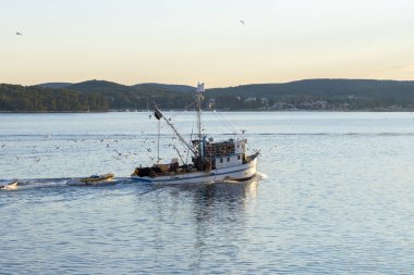 Hırvatistan güneşli bir denizde balıkçı teknesi