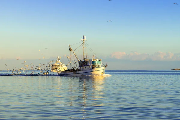 Rybářský Člun Moři Slunného Dne Chorvatsku — Stock fotografie