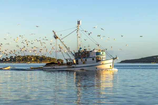 Hırvatistan güneşli bir denizde balıkçı teknesi