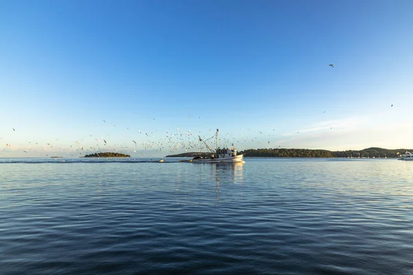 Vissersboot Zee Een Zonnige Dag Kroatië — Stockfoto