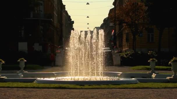 Tomislav Király Park Zágrábban Szökőkút — Stock videók