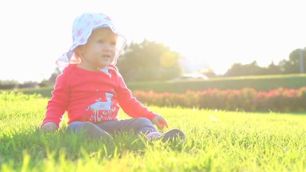 Babysitting Een Gras Een Zonnige Dag — Stockvideo