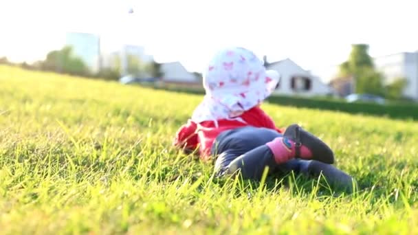 Baby Crawls Grass Sunny Day — Stock Video