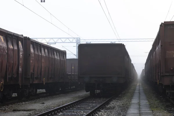 Viejos Vagones Tren Estacionados Niebla Mañana —  Fotos de Stock