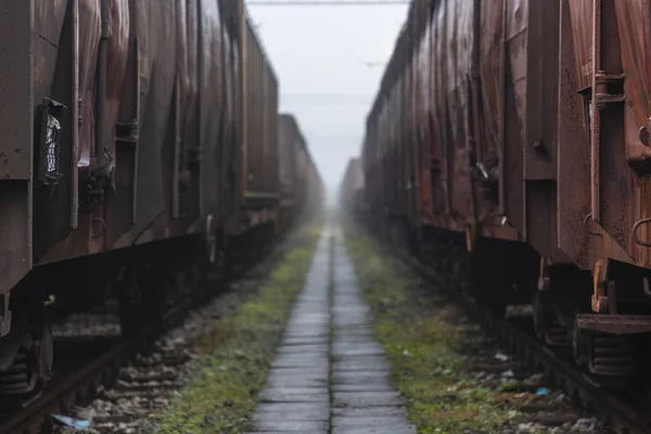 Starego Pociągu Wagonów Zaparkowany Rannej Mgle — Zdjęcie stockowe