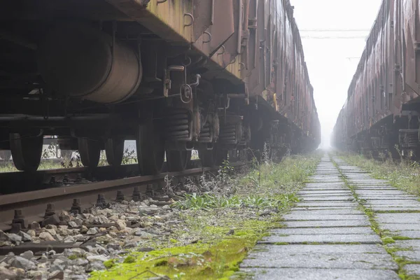 停在晨雾中的旧火车货车 — 图库照片