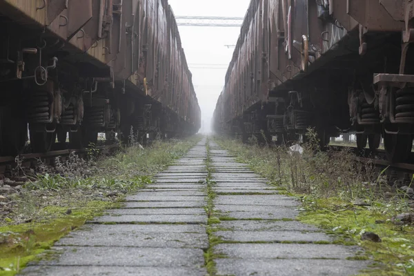 Viejos Vagones Tren Estacionados Niebla Mañana —  Fotos de Stock