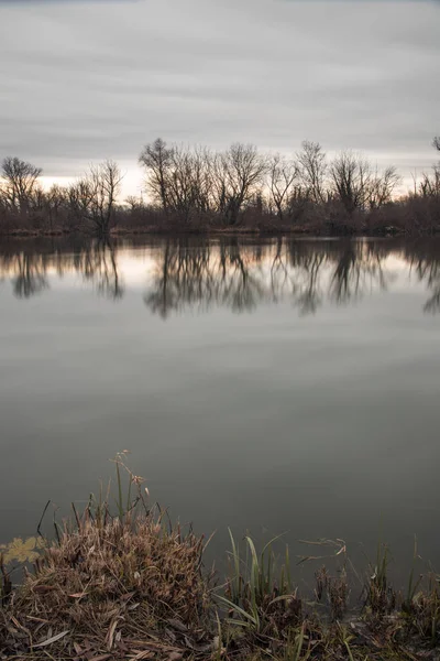 Reflexão Árvores Arbusto Lago Manhã — Fotografia de Stock