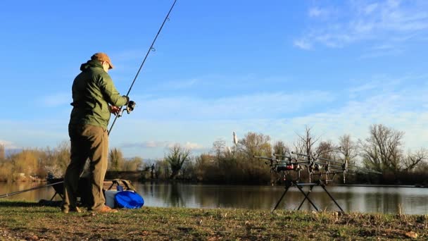 Pescador Haciendo Pesca Carpas Una Mañana Soleada — Vídeos de Stock