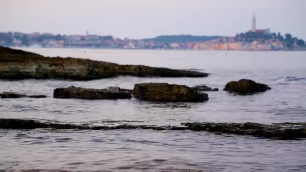 Rovigno Seascape Med Vågor Förgrunden Dyster Morgon — Stockvideo