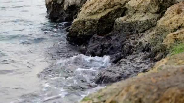 Des Vagues Calmes Qui Foulent Les Rochers Par Une Journée — Video