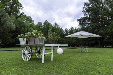 Çayırda beyaz çiçekli beyaz tramvay