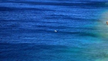 Hırvatistan 'daki Akdeniz üzerinde uçan martı