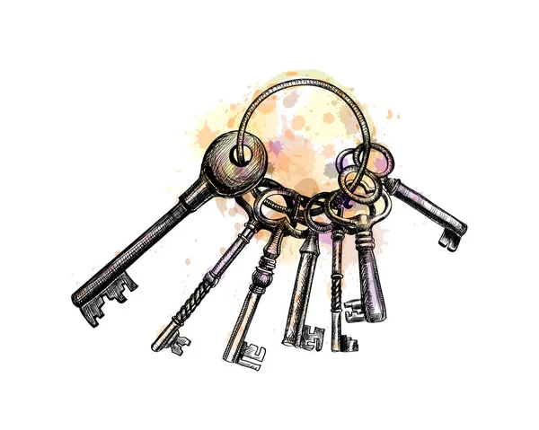 Un mucchio di vecchie chiavi — Vettoriale Stock