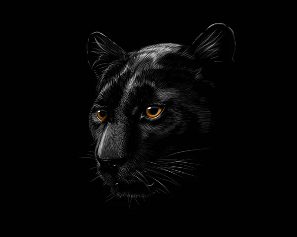 Head of a black panther — Stock Vector