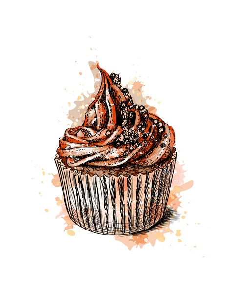 Cupcake al cioccolato da una spruzzata di acquerello — Vettoriale Stock