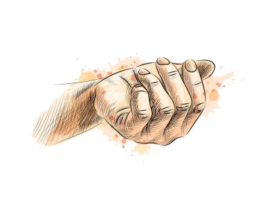 Suluboya bir sıçrama--dan palmiye