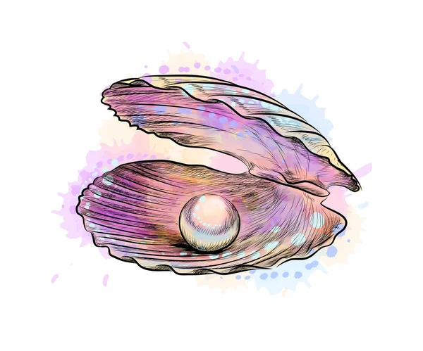 Coque ouverte avec perle à l'intérieur d'une éclaboussure d'aquarelle — Image vectorielle
