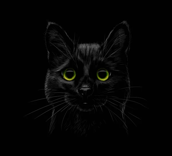 黑底猫的肖像 — 图库矢量图片