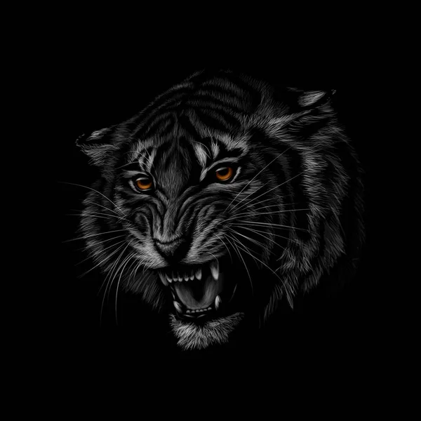 Retrato de una cabeza de tigre sobre un fondo negro — Vector de stock