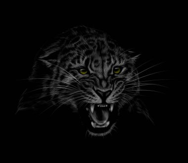 Siyah bir zemin üzerine bir leopar kafa portresi. Bir leopar sırıtarak