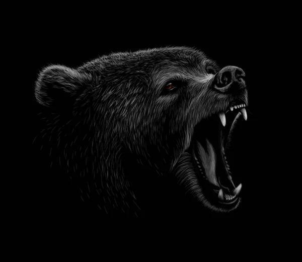 Porträtt av en brunbjörn huvud på en svart bakgrund. Grin av en Björn — Stock vektor