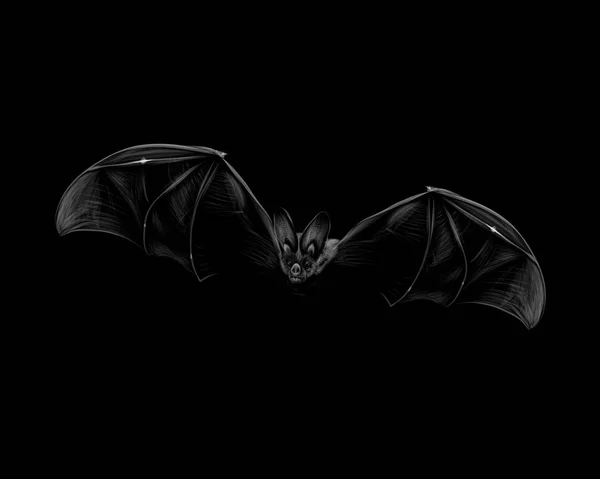 Portrait of a bat in flight on a black background. Halloween — Stock Vector