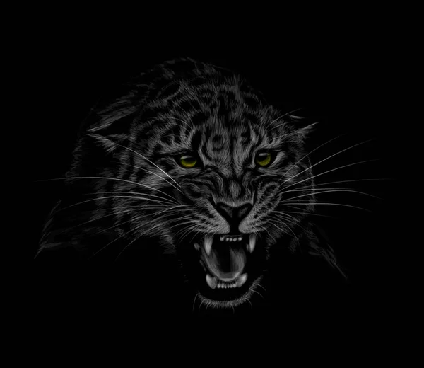 Retrato de una cabeza de leopardo sobre un fondo negro. Sonriente de un leopardo — Vector de stock