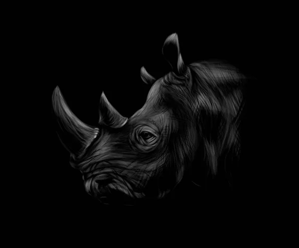 Portrait d'une tête de rhinocéros sur fond noir . — Image vectorielle