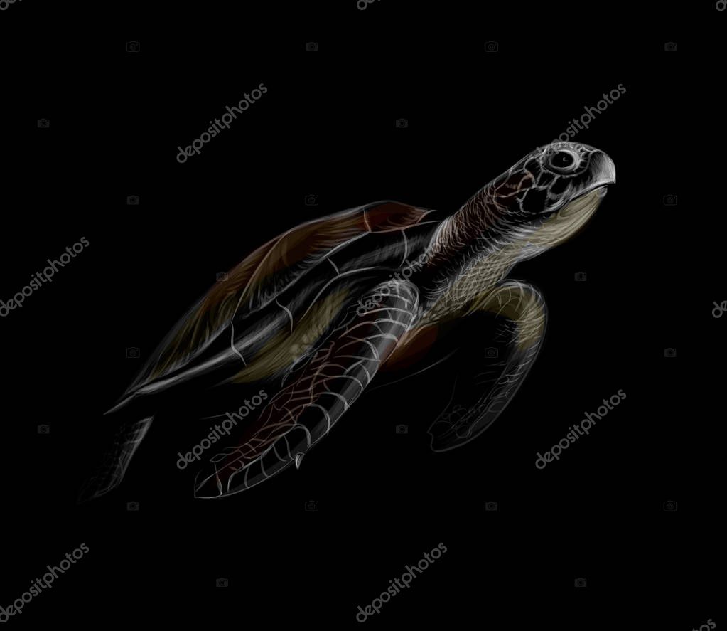 Portrait of a big sea turtle on a black background. Vector illustration