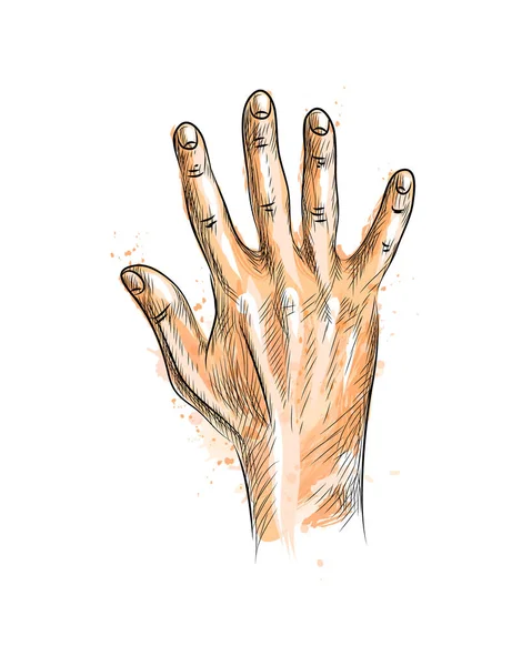 Hand showing five fingers — Stock Vector