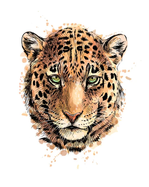 Retrato de uma cabeça de leopardo de um respingo de aquarela — Vetor de Stock