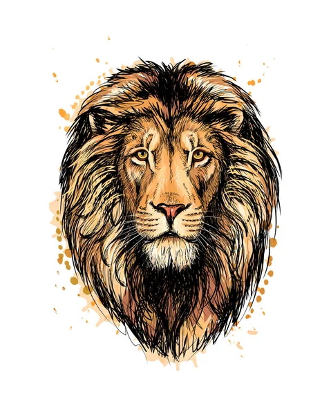 Retrato de una cabeza de león de un chorrito de acuarela — Vector de stock