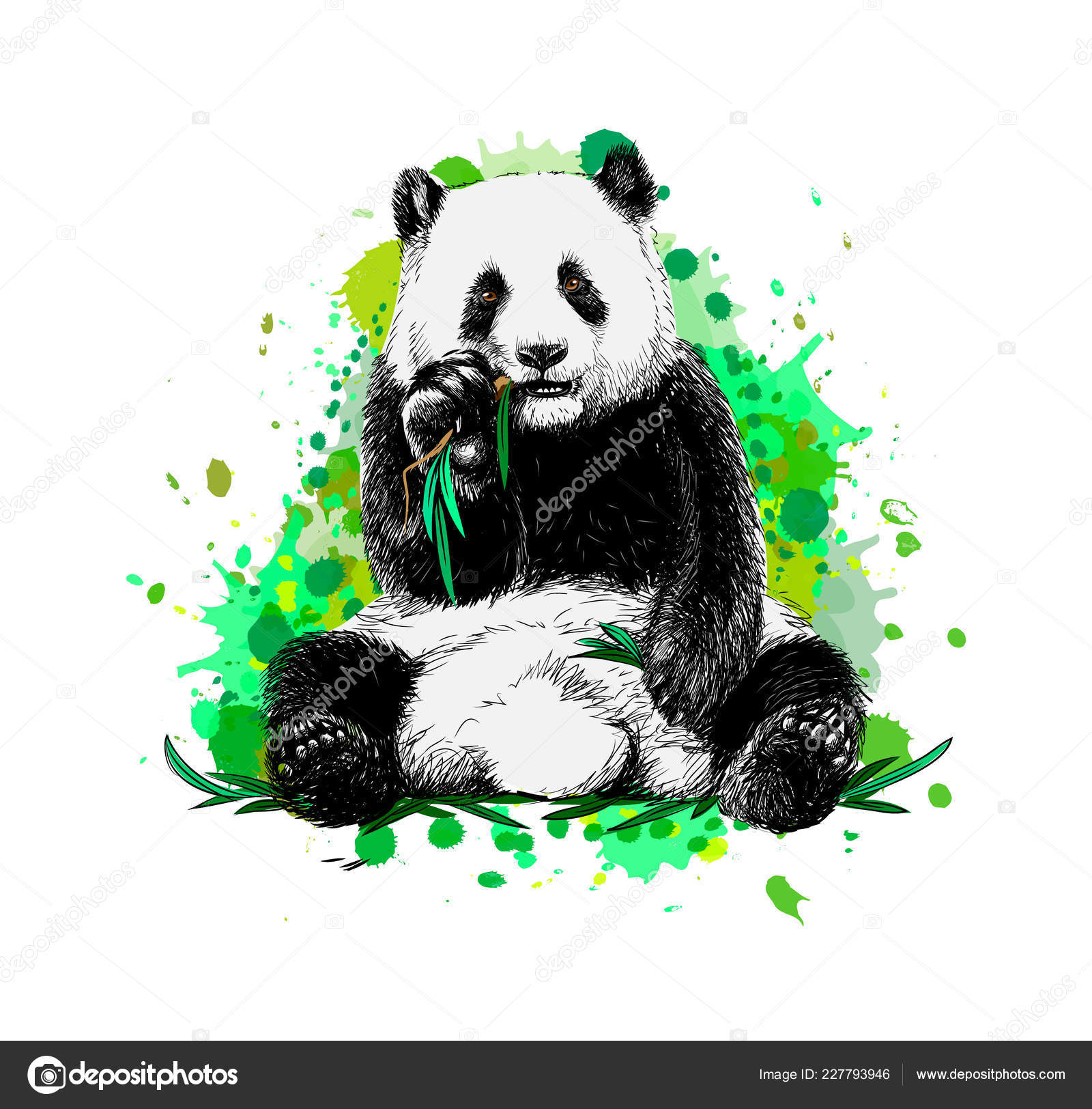 Esboço realista vetorial da figura do panda em ilustração desenhada à mão  de corpo inteiro