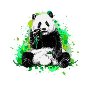 Oturma ve suluboya bir sıçrama bambu yemek panda