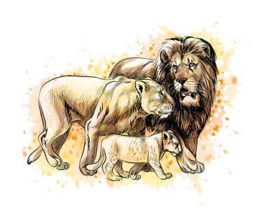 Aile suluboya bir sıçrama gelen aslan