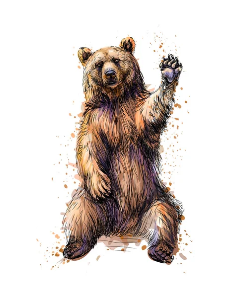 Friendly brown bear sitting and waving a paw from a splash of watercolor — Stock Vector