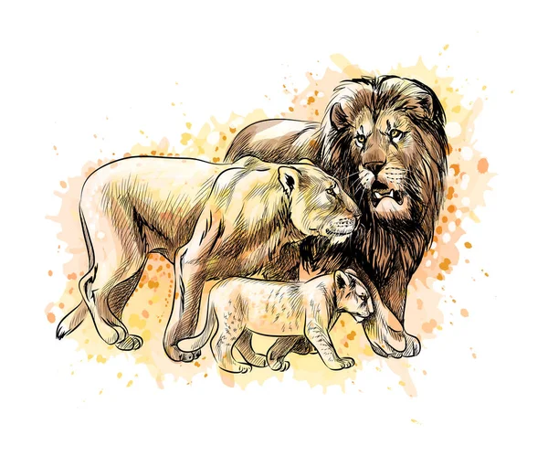 Семья львов от всплеска акварели — стоковый вектор