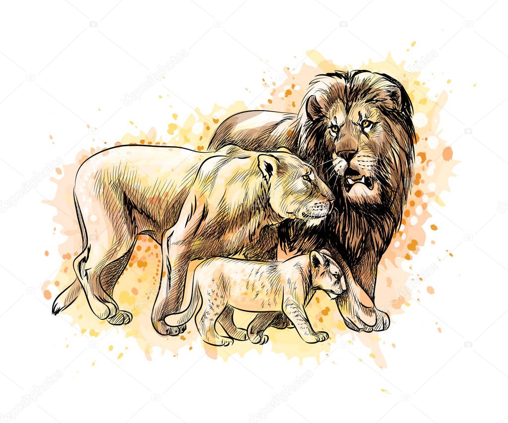 Family of lions from a splash of watercolor