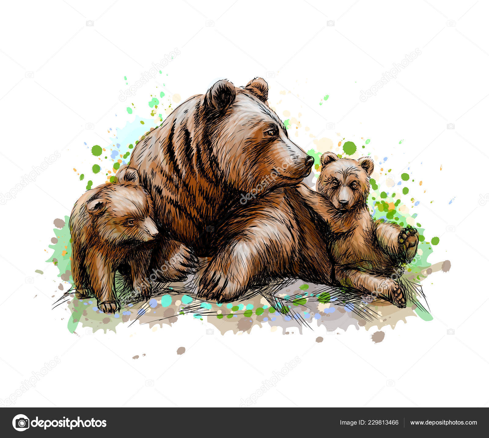 Brown mother bear with her cubs from a splash of watercolor Stock