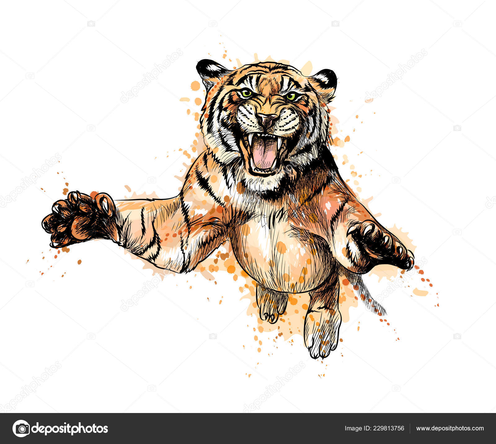 Portrait Of A Tiger Jumping From A Splash Of Watercolor Stock Vector Image By C Kapona 229813756