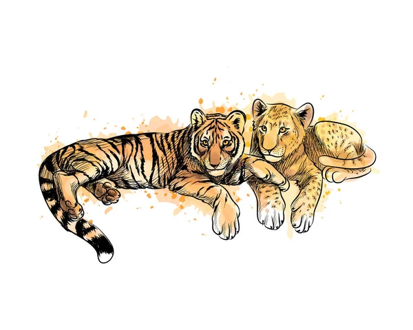 Cachorro de león y cachorro de tigre de un chorrito de acuarela — Vector de stock