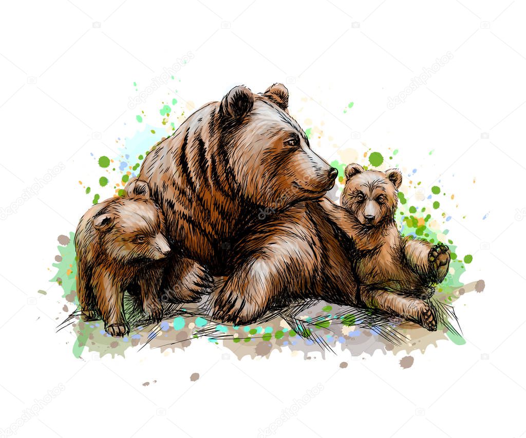Brown mother bear with her cubs from a splash of watercolor