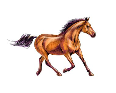 At dörtnala suluboya sıçrama çalıştırın. Elle çizilmiş kroki