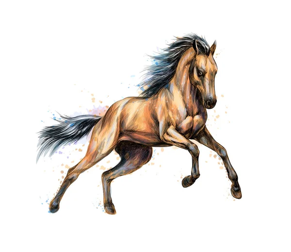 Caballo correr galope de salpicadura de acuarelas. Bosquejo dibujado a mano — Vector de stock