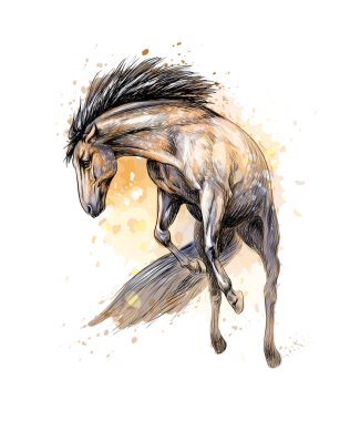 At dörtnala suluboya sıçrama çalıştırın. Elle çizilmiş kroki