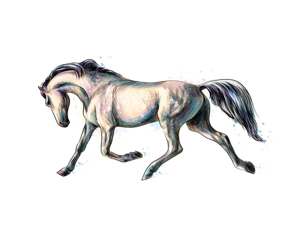 馬は、水彩絵の具のしぶきからギャロップを実行します。手描きのスケッチ — ストックベクタ