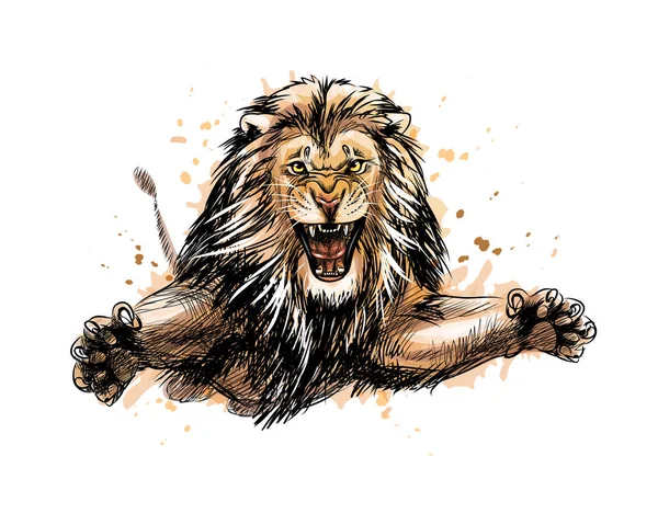 Portrait d'un lion sautant d'une éclaboussure d'aquarelle — Image vectorielle